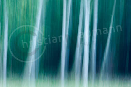 Birkenwald Wischer Birkenwald Wischer