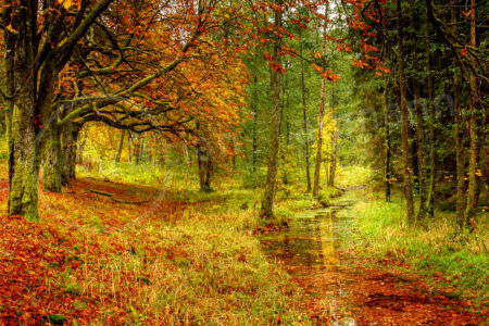 Bunter Herbst im Spessart