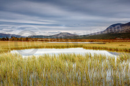 Dovrefjell-Sunndalsfjella-Nationalpark