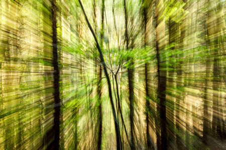 Frühlingsexplosion Frühlingsexplosion