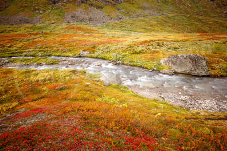 Kleiner Fluss im Sognefjellsveien Kleiner Fluss im Sognefjellsveien