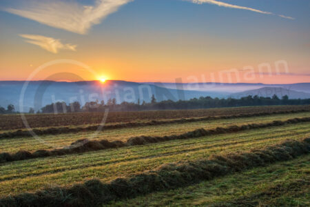 Landschaft im Vogelsberg