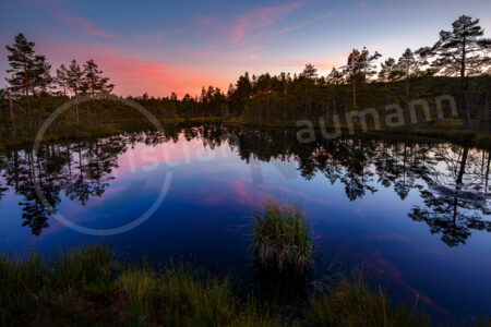 Moor in Mittelschweden