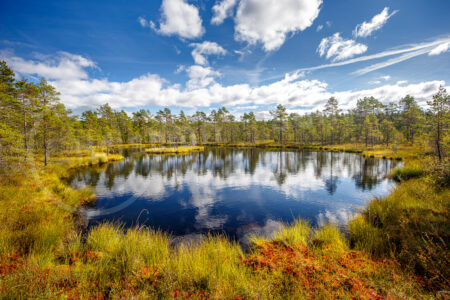Moor mit kleinem See