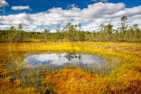 Moor, See, Wolken, Knuthöjdsmossen, Schweden Moor mit kleinem See