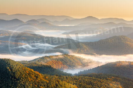Morgenstimmung im Pfälzerwald mit Nebel