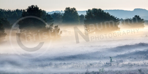 Morgenstimmung in der Heide