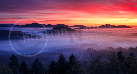 Pfälzerwald mit Morgennebel Pfälzerwald mit Morgennebel