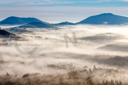Pfälzerwald mit Morgennebel