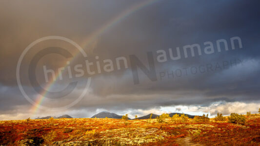 Regenbogen Regenbogen