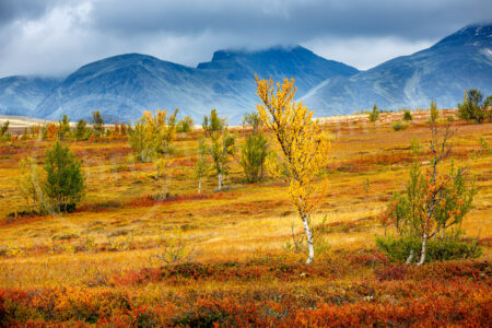 Rondane Nationalpark