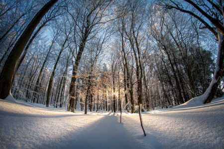 Sonne im Winterwald Sonne im Winterwald