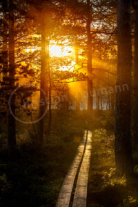 Sonnenaufgang