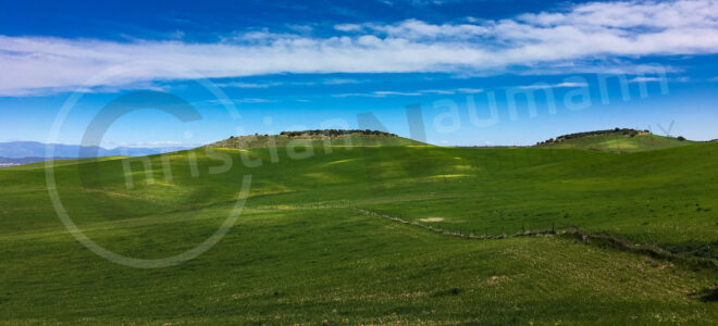 Wiesenlandschaft in Spanien